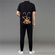 男士短袖t恤男夏季宽松五分袖半袖衣服休闲运动男装卫衣潮牌，男装休闲套装，电商B212（原钱塘6029）