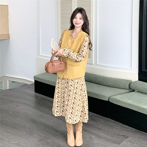 现货 2025秋季新款女装精品两件套装时尚套装图片