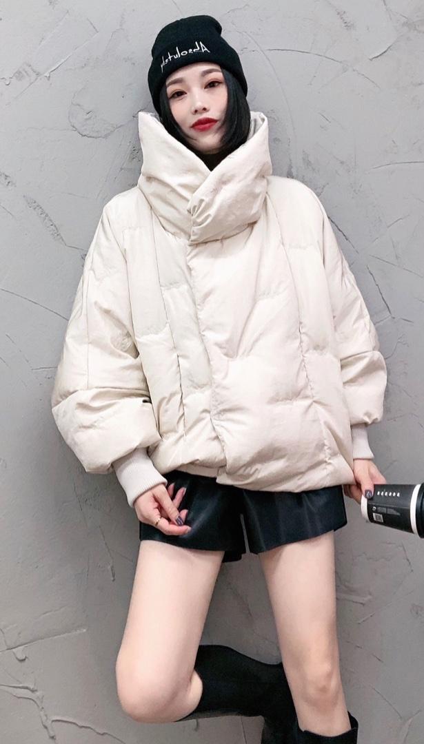 SGH2095欧范围脖领刺绣印花小众百搭百分百羽绒外套,女装,L·H·X