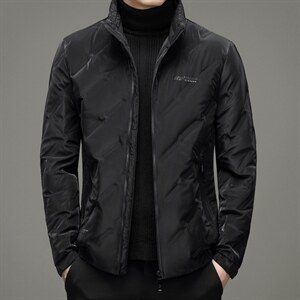 2021中年灰鸭绒羽绒服冬季休闲中年爸爸装外套上衣YYYR2016-P230,男装羽绒服,电商B212（原钱塘6029）
