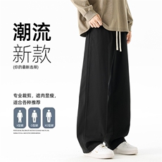 休闲裤男款秋季新款宽松百搭男装裤子青少年直筒长裤Z9992-P48，男装休闲裤，星座610（原A335）