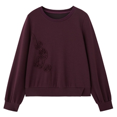 2025年秋季新款时尚休闲立体盘花套头卫衣，女装T恤，深水步