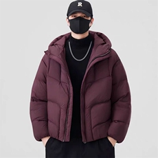 (网图)90白鸭绒207-240克龟背羽绒服百搭宽松313B-2722-P330，男装羽绒服，星座313B