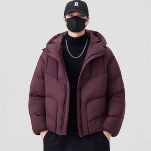 (网图) 90白鸭绒 207-240克 龟背羽绒服百搭宽松  313B-2722-P330图片