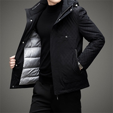 CD8826钱塘2020-2秋冬新款商务休闲男士羽绒服连帽保暖外套P298，男装羽绒服，钱塘207-2