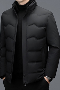 秋冬季男士绒羽绒服保暖休闲品质白鸭绒毛领立领外套休闲简约男装图片
