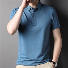 夏季polo短袖中年男士潮流百搭半袖休闲上衣男装商务休闲体恤夏装，男装T恤，电商B212（原钱塘6029）