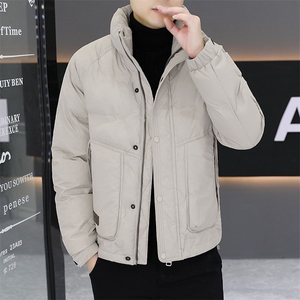 2024 精品羽绒服 立领 潮款羽绒服男图片