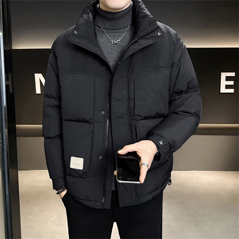 标90白鸭绒 店主风轻奢高级感立领羽绒服外套男X8608-P300图片