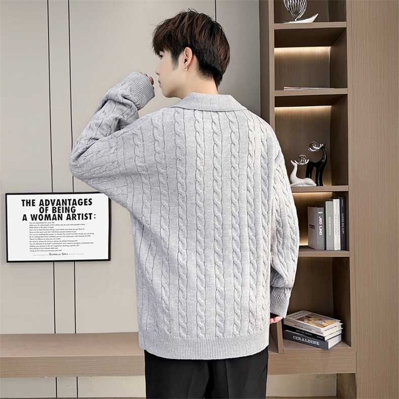 8758-P502025年秋冬新款翻领毛衣男时尚长袖针织衫,男装针织衫/毛衣,电商A113