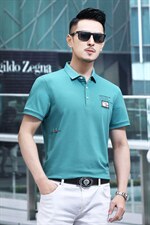 短袖t恤男装中青年透气翻领半袖T恤2024夏季新款休闲polo衫P58，男装T恤，钱塘6003A(原)4033A