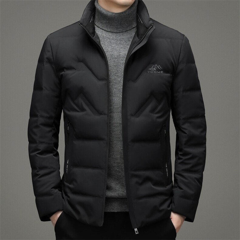 90%白鸭绒羽绒服男士立领冬季新款宽松保暖休闲外套潮HB1808-P250，男装羽绒服，电商B212（原钱塘6029）