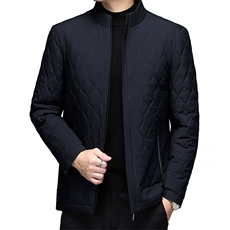 中老年男士薄款棉服商务休闲外套男立领格子棉衣中老年棉袄送爸爸，男装棉衣，电商B212（原钱塘6029）