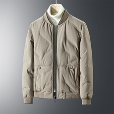 2024冬季新款2210款立体剪裁50%灰鸭绒羽绒服P95，男装羽绒服，星座505-2（原电商A260-1)