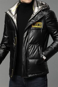 B816钱塘2020-1冬季男士羽绒服高端90白鸭绒P290图片