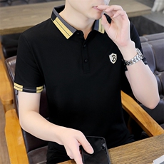 短袖T恤男翻领刺绣上衣服夏季中年男士休闲时尚半袖体恤衫男装，男装T恤，电商B212（原钱塘6029）