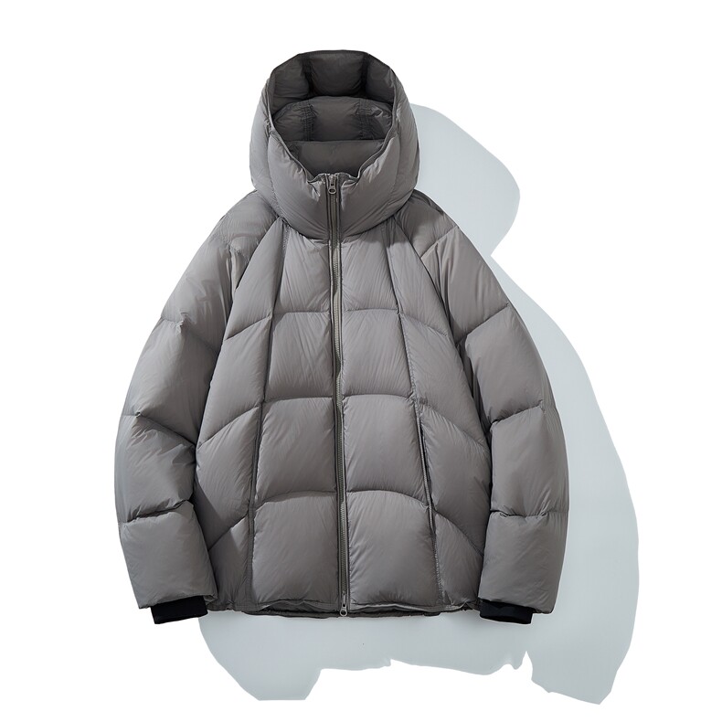 男士短款连帽羽绒服D213-2888-P550，男装羽绒服，电商D213