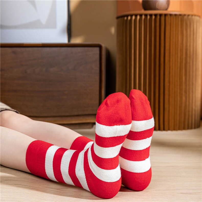 2025年秋季男女同款时尚百搭新年款袜，袜子，披星电商供货