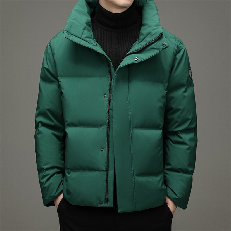 鹅绒羽绒服中青年男短款冬季休闲立领外套2023新款DFLDY5007-P290，男装羽绒服，电商B212（原钱塘6029）