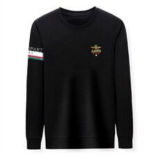 中年男装运动套装秋季刺绣爸爸装圆领中老年运动服男卫衣休闲套装，男装休闲套装，电商B212（原钱塘6029）
