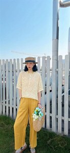 纯苎连衣裙小衫裤子裙子衬衣
时尚风
风淑女风休闲风图片