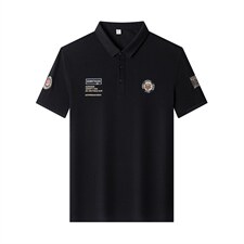 时尚短袖T恤男薄款刺绣翻领上衣夏季青年男士休闲潮流polo体恤衫，男装T恤，电商B212（原钱塘6029）