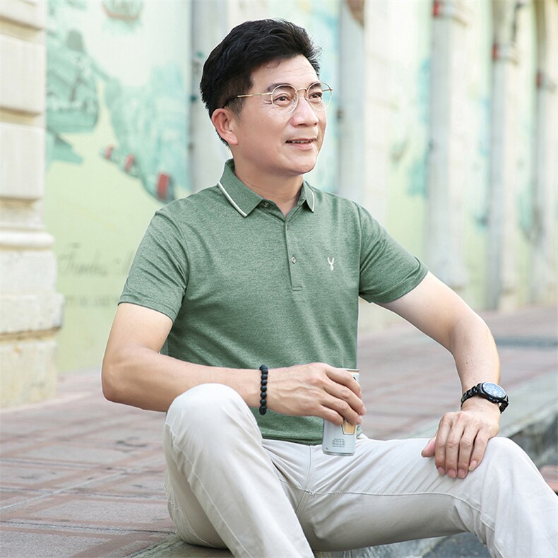 衬衫领半袖t恤男有带领2023夏季新款体恤男士商务休闲翻领polo衫,男装Polo衫,电商B212（原钱塘6029）