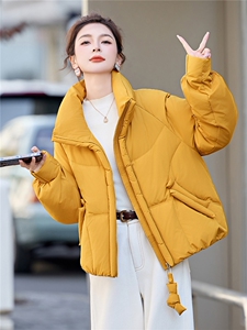 现货！无帽立领保暖厚款白鸭绒羽绒服女图片