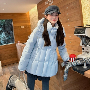 【现货】中长收腰加厚白鸭绒羽绒服女2B153-28808-P345-K405图片