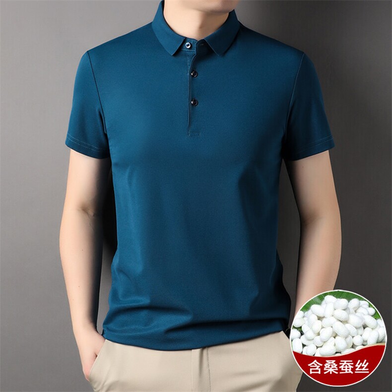 2025夏季新款男士短袖t恤宽松翻领高端上衣纯色冰丝打底衫,男装Polo衫,电商B212（原钱塘6029）