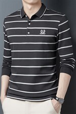 翻领体恤男春秋季2023新款条纹中年男士长袖t恤宽松休闲打底衫，男装T恤，电商B212（原钱塘6029）