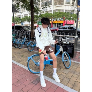 纯棉贴布刺绣连帽卫衣ZW0128-P48图片