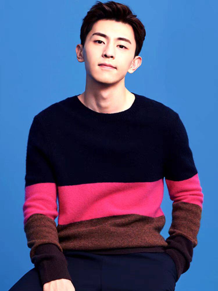 2025年秋季长袖套头青春流行时尚百搭通勤简约休闲，男装羊毛衫，圣强羊绒