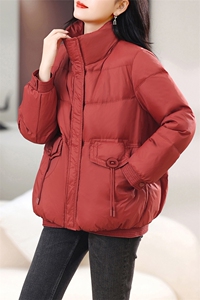 长期有货立领羽绒服短款2024冬季新款宽松加厚白鸭绒外套女图片