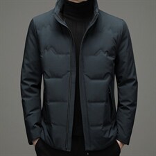 新款冬季鹅绒羽绒服男士休闲立领中青年外套夹克SNNYR86860-P220，男装羽绒服，电商B212（原钱塘6029）