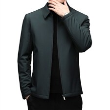 冬季棉衣男中年翻领休闲棉服中青年冬季厚爸爸装DFLDM16001-P185，男装棉衣，电商B212（原钱塘6029）