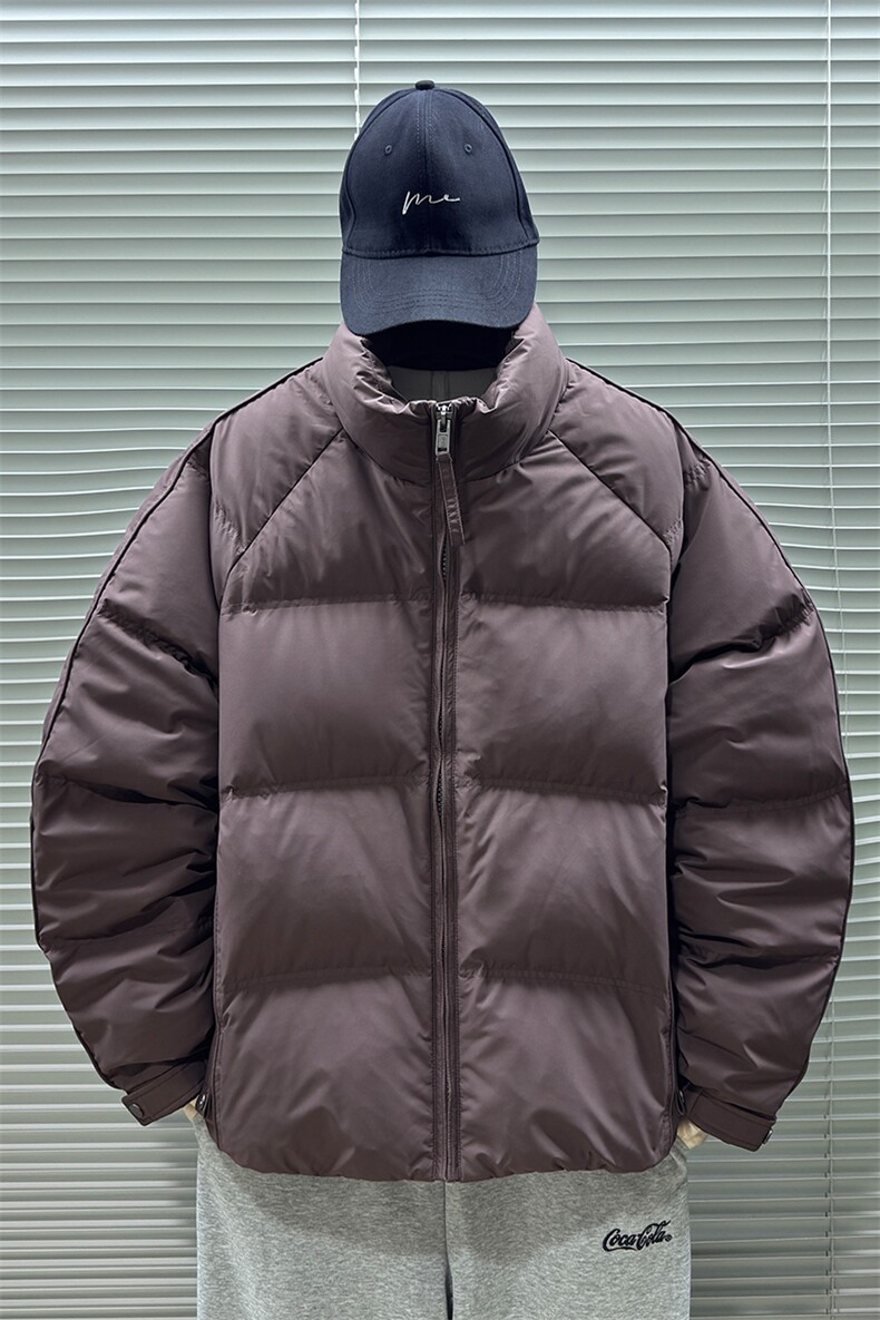 2025新标90白鸭绒冬季男立领高品质时尚羽绒服301-P270，男装羽绒服，钱塘708(原3018)