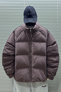 2025新标90白鸭绒冬季男立领高品质时尚羽绒服301-P270，男装羽绒服，钱塘708(原3018)