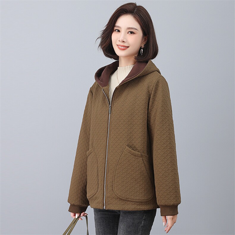 时尚保暖女士棉服 冬季加厚连帽外套 显瘦百搭短款棉衣图片