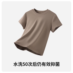 自由导演纯色正肩显瘦高级感短袖T恤女莱卡棉舒适百搭修身打底衣图片