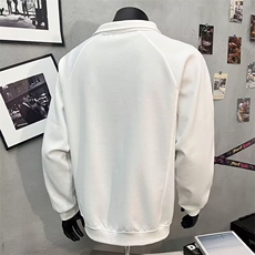卫衣男春秋季2025新款宽松潮牌翻领衣服男款纯色百搭秋装运动上衣，男装卫衣，星座506A