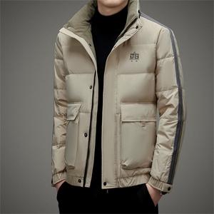 BAMJ-8951钱塘2020-2中年男士冬季厚款立领百搭简约羽绒服P220图片