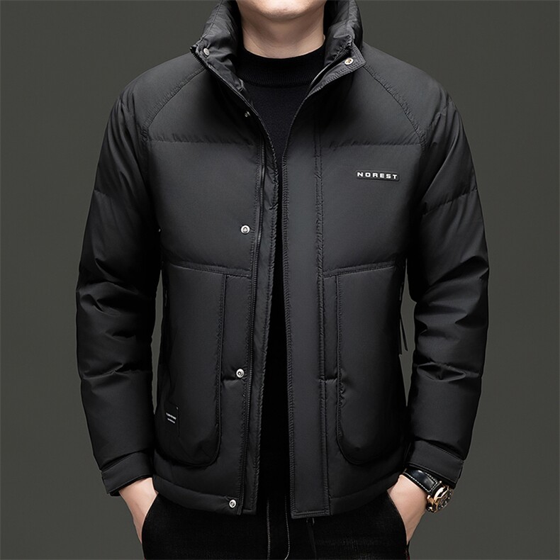 秋冬季新款羽绒服男士白鸭绒加绒潮服休闲立领潮流韩版保暖外套,男装羽绒服,钱塘6003（原4033）