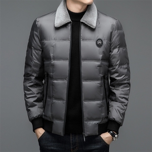 AC8909钱塘2020-3冬季羽绒服白鸭绒防寒保暖外套男加厚P215图片