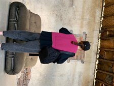 休闲假两件，其它，怪怪树