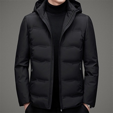 冬季羽绒服男可脱卸帽中年男士休闲宽松爸爸冬装外套ZL8818-P275，男装羽绒服，电商B212（原钱塘6029）