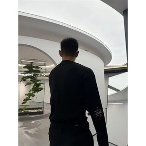 特p35 亨利领经纬度训练衣长袖卫衣图片
