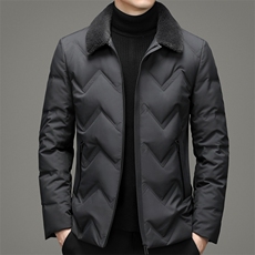 羽绒服男2024年新款冬季翻领商务休闲上衣中年爸爸装加厚保暖外套，男装羽绒服，钱塘6003（原4033）