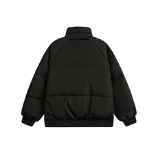 2025冬款字母绣花立领羽绒服-5662-368，男装羽绒服，电商S012（CATTEE）