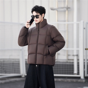 带报告标50白鸭绒高充绒量泡芙男装羽绒服C317-Y8855-P275图片